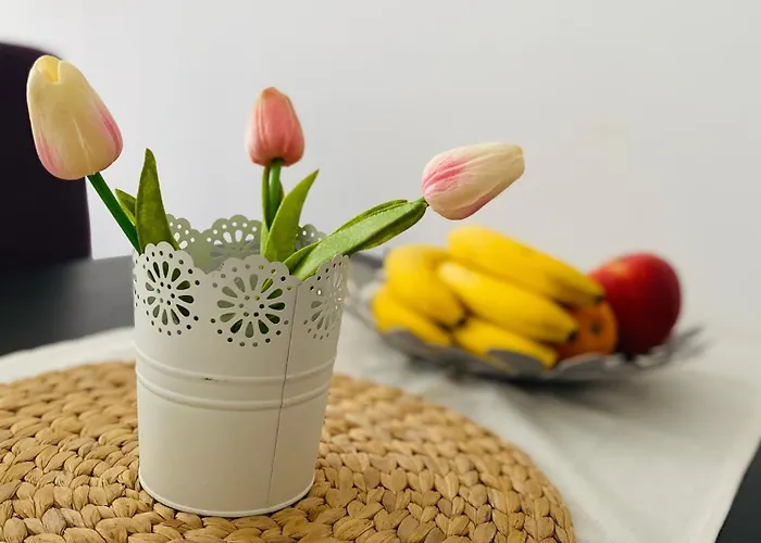 In Complex Atia * Chernomorets