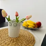 In Complex Atia * Черноморец