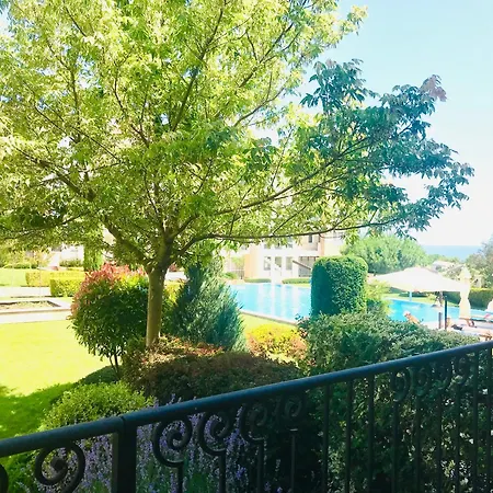 In Complex Atia צ'רנומורץ